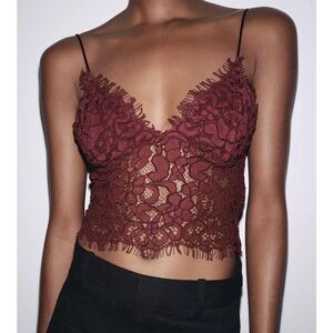 ZARA NWT EMBROIDERED Burgundy Lace Crop Top